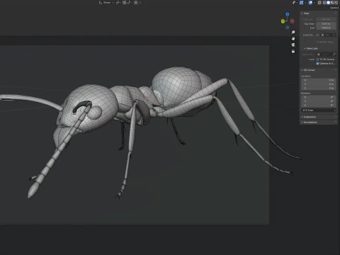Argentine ant Linepithema humile 3D Model