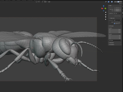 Asian giant hornet 3D मॉडल