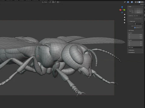 Asian giant hornet 3D Model
