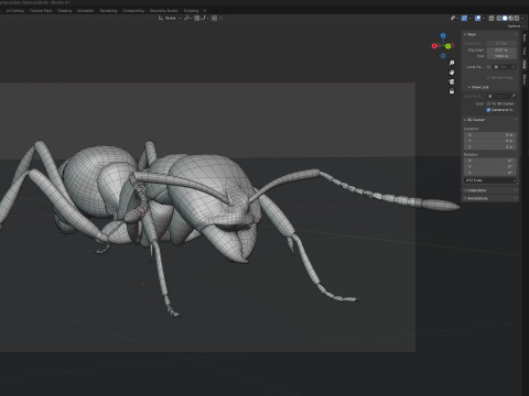 Asian needle ant 3D 모델