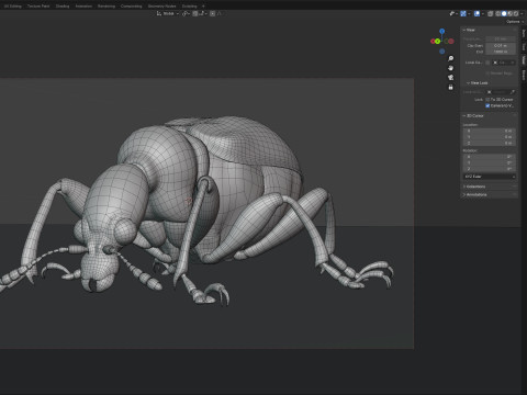 Attelabidae Leaf rolling Weevil 3D Модель