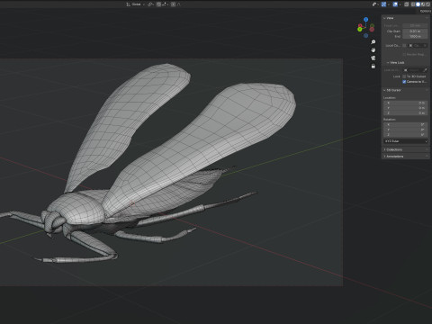 Belostomatidae Giant water bug Modèle 3D