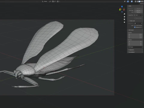 Belostomatidae Giant water bug 3D Model
