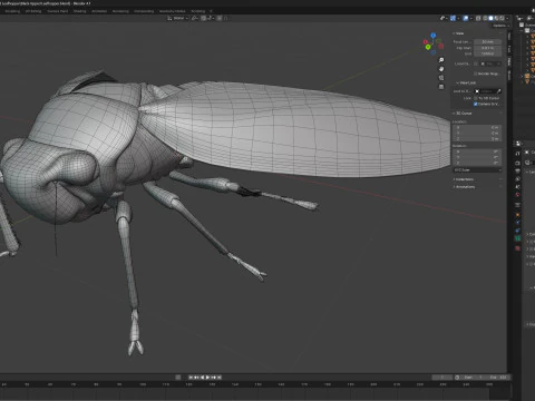Black-tipped Leafhopper 3D Model