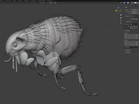 Cat flea bug 3D Model