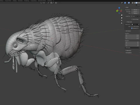 Kedi pire b&ouml;ceği 3D Model