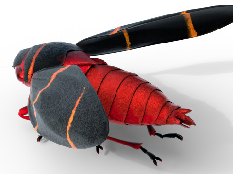 Cercopoidea Froghopper Model 3D