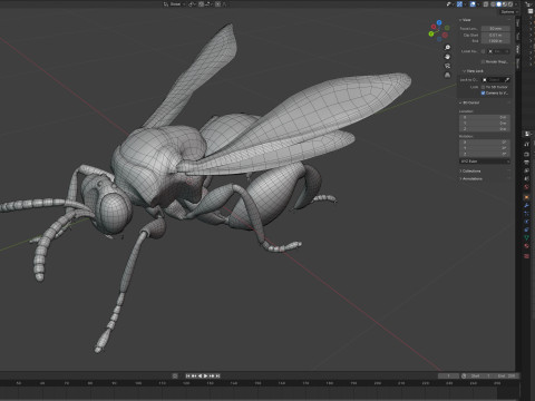 Chalcidoidea wasp 3D Model