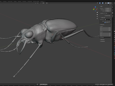 Cicindela chinensis japonica 3D Model