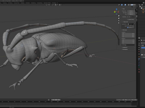 Citrus long-horned beetle 3D Model