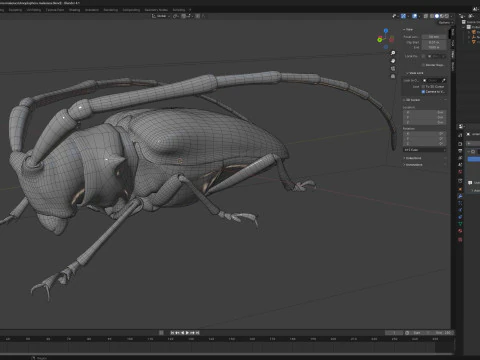 Kumbang jeruk bertanduk panjang Model 3D