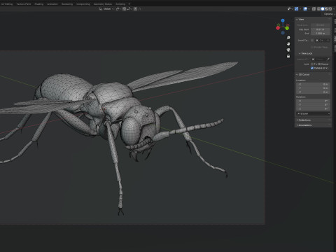 Cuckoo Wasps 3D Model