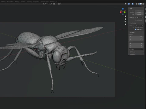 Cuckoo Wasps 3D Model