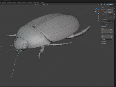 Cybister japonicus 3D 모델