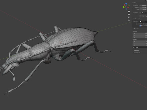 Damaster blaptoides goliath ground beetle Model 3D