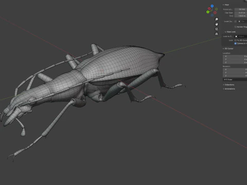 Damaster blaptoides goliath ground beetle 3D Model