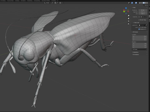 Emma field cricket Modelo 3D