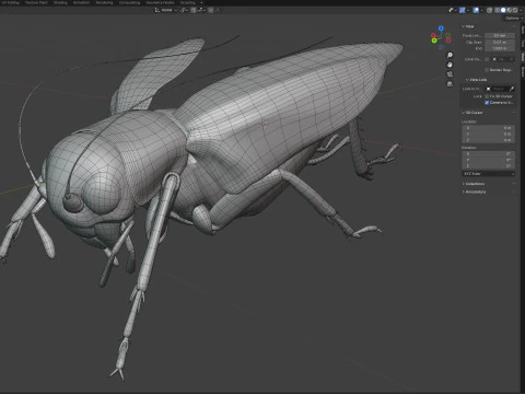 Emma campo da cricket Modello 3D
