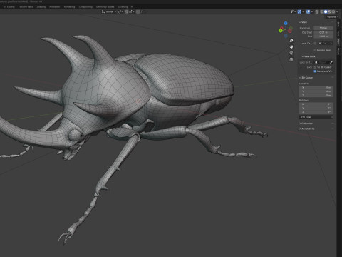 Eupatorus gracilicornis beetle 3D मॉडल