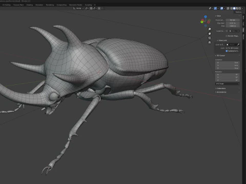 Eupatorus gracilicornis beetle 3D Model