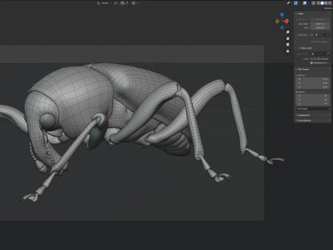 Euscepes postfasciatus 3D Model