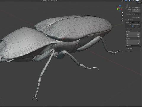 Eyed Elater Click Beetles 3D Model