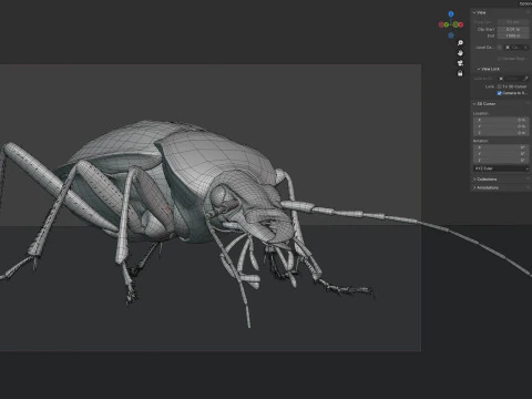 Flightless Ground Beetle 3D Model