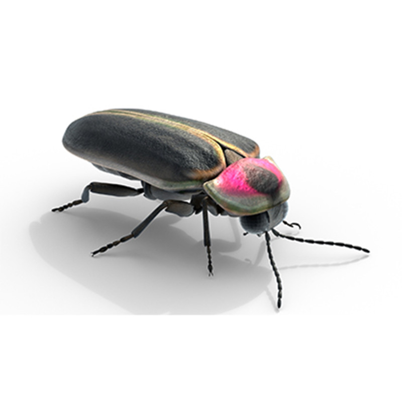 Genji firefly Model 3D .c4d .max .obj .3ds .fbx .stl .blend 