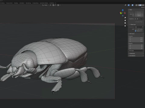 ヒシムシ 3Dモデル