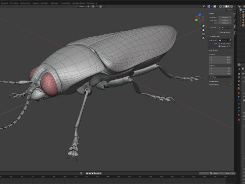 Jewel Beetle 3D Model
