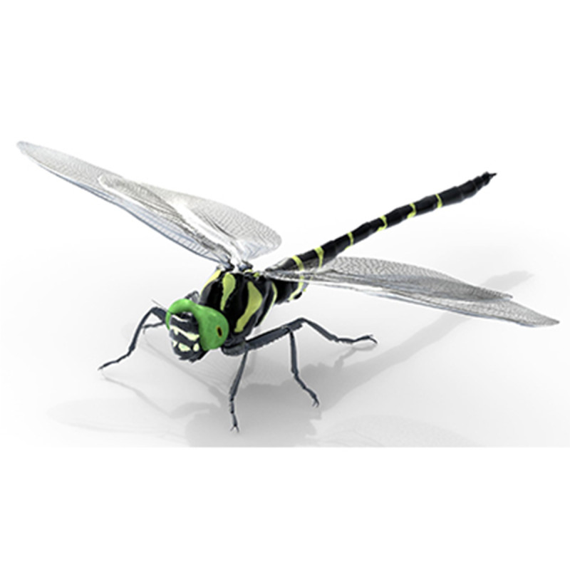 Jumbo dragonfly Modèle 3D .c4d .max .obj .3ds .fbx .stl .blend