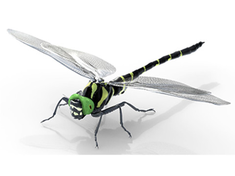 Jumbo dragonfly Modelo 3D