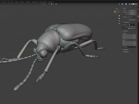 Lilioceris cheni leaf beetle 3D Model