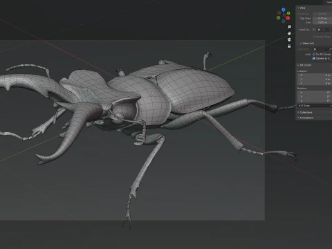 Lucanus maculifemoratus stag beetle 3D Model