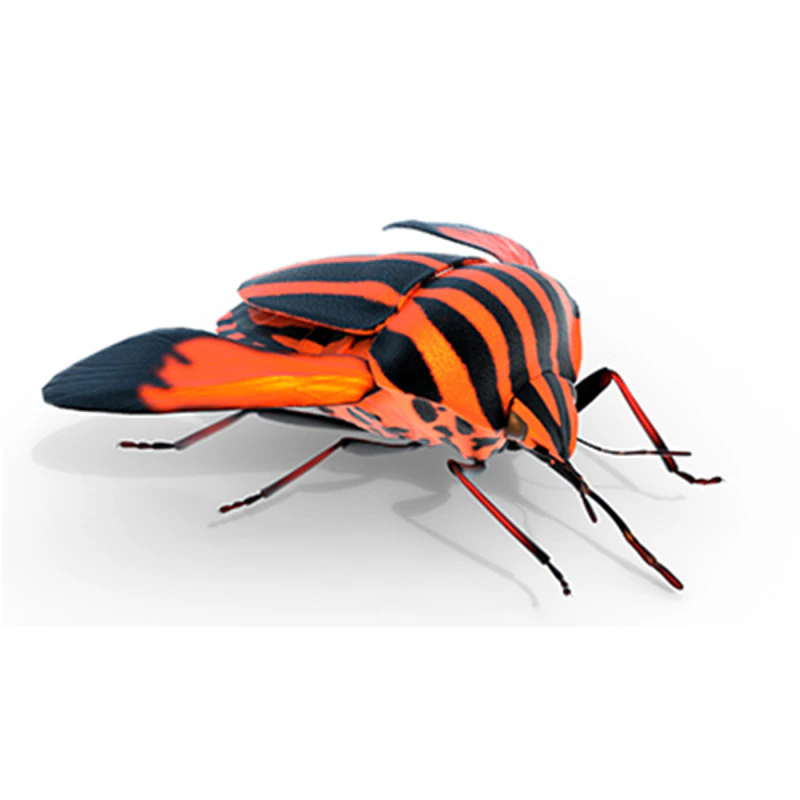 Minstrel bug 3D Model .c4d .max .obj .3ds .fbx .stl .blend 