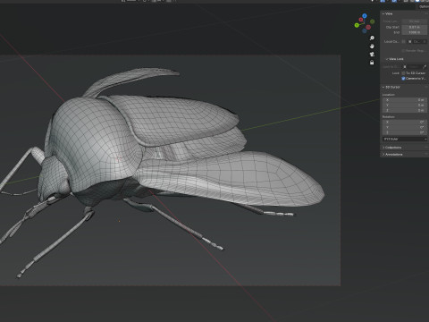 Minstrel bug 3D मॉडल