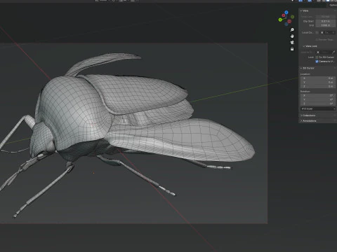 Minstrel bug 3D Model