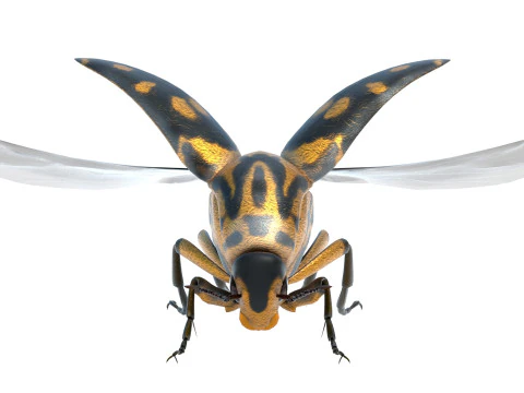 Mordellidae escarabajos de las flores que caen Modelo 3D