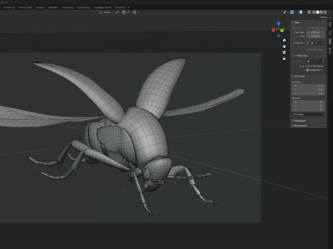 Mordellidae tumbling flower beetles 3D Model