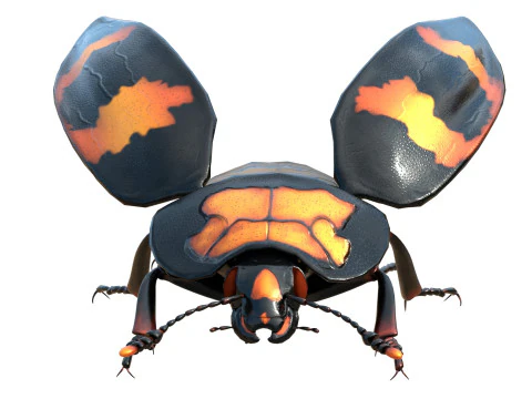 Nicrophorus vespilloides Beetle 3D Model