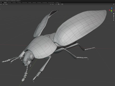 Nicrophorus vespilloides Beetle Modelo 3D