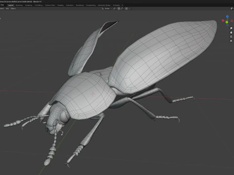 Nicrophorus vespilloides Beetle 3D Model