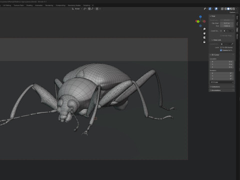 Plesiophthalmus nigrocyaneus 3D Model