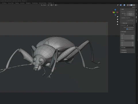 Plesiophthalmus nigrocyaneus 3D Model
