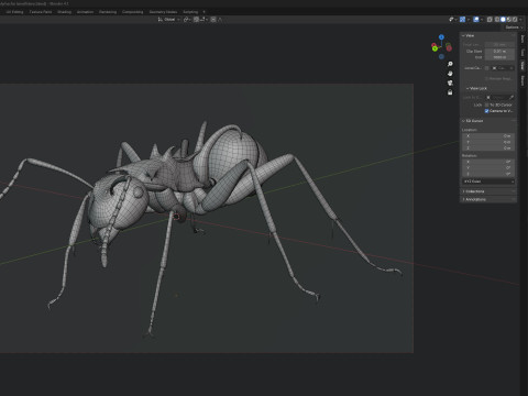 Polyrhachis lamellidens ant 3D 모델