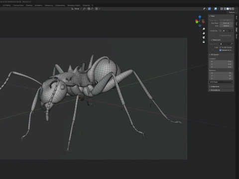 Polyrhachis lamellidens ant 3D Model