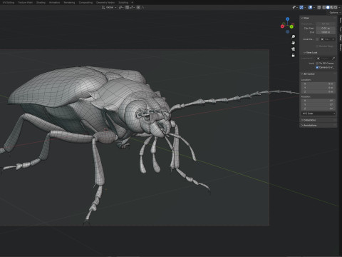 Prionus geoffroy beetle 3D Model