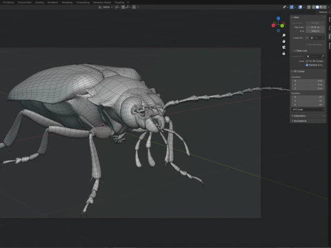 Prionus geoffroy beetle 3D Model