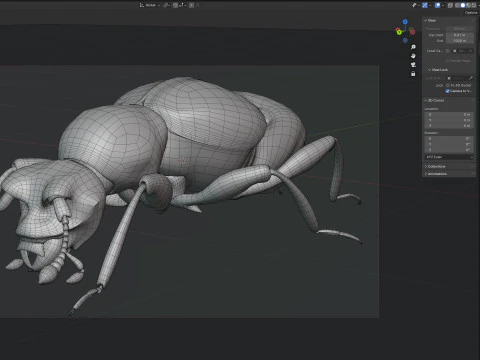 Жук пселафід 3D Модель