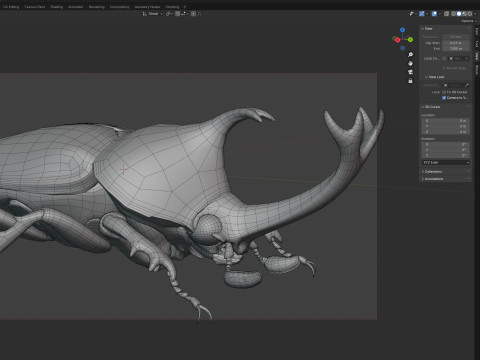 Rhinoceros beetle 3D Model